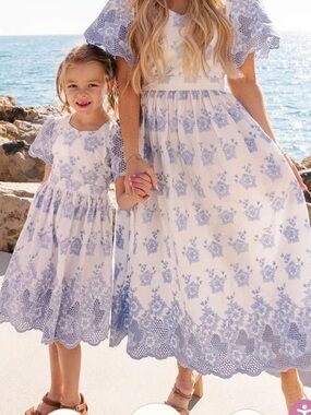 NWT Ivy City Co The Lillian Dress